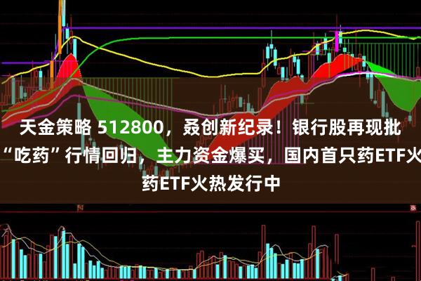 天金策略 512800，叒创新纪录！银行股再现批量新高！“吃药”行情回归，主力资金爆买，国内首只药ETF火热发行中
