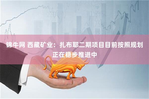 锦牛网 西藏矿业：扎布耶二期项目目前按照规划正在稳步推进中