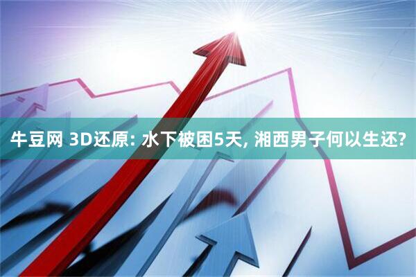 牛豆网 3D还原: 水下被困5天, 湘西男子何以生还?