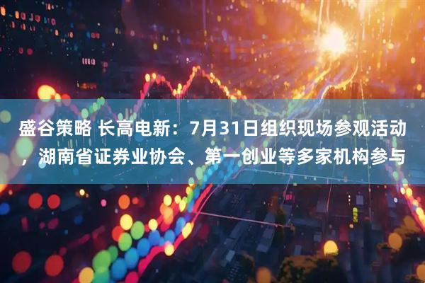 盛谷策略 长高电新：7月31日组织现场参观活动，湖南省证券业协会、第一创业等多家机构参与