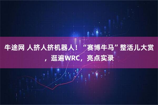 牛途网 人挤人挤机器人！“赛博牛马”整活儿大赏，逛遍WRC，亮点实录