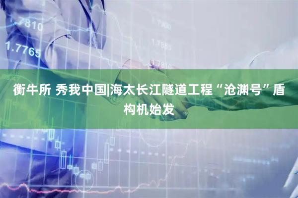 衡牛所 秀我中国|海太长江隧道工程“沧渊号”盾构机始发