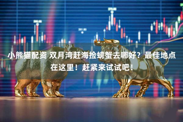 小熊猫配资 双月湾赶海捡螃蟹去哪好？最佳地点在这里！赶紧来试试吧！