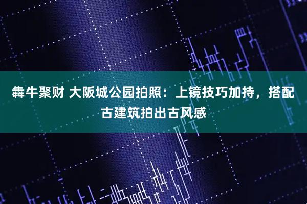 犇牛聚财 大阪城公园拍照：上镜技巧加持，搭配古建筑拍出古风感