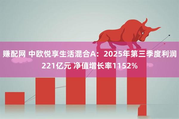 赚配网 中欧悦享生活混合A：2025年第三季度利润221亿元 净值增长率1152%